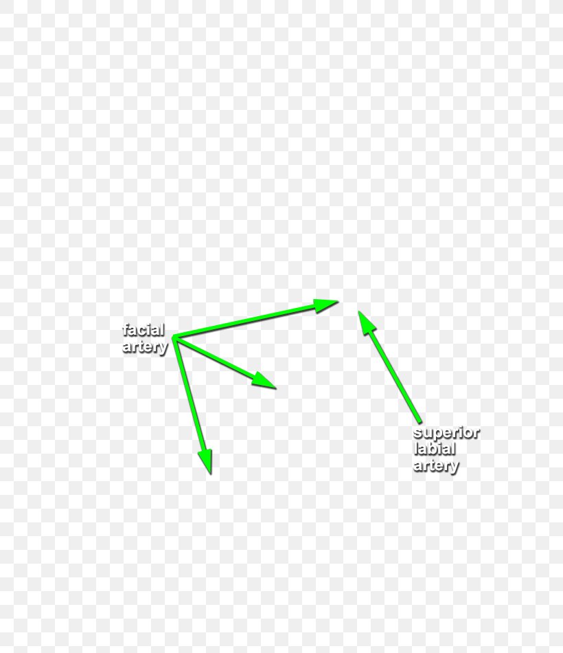 Brand Line Angle, PNG, 631x950px, Brand, Area, Diagram, Grass, Triangle Download Free