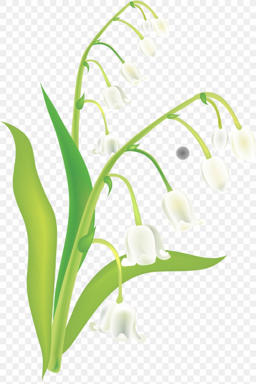 Lily Of The Valley Euclidean Vector, PNG, 1100x1646px, Lily Of The Valley, Branch, Convallaria, Drawing, Flora Download Free