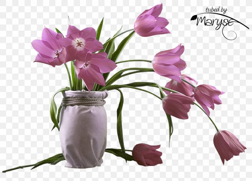 August Flower, PNG, 867x624px, August, Animation, Chez Nous, Common Lilac, Cut Flowers Download Free