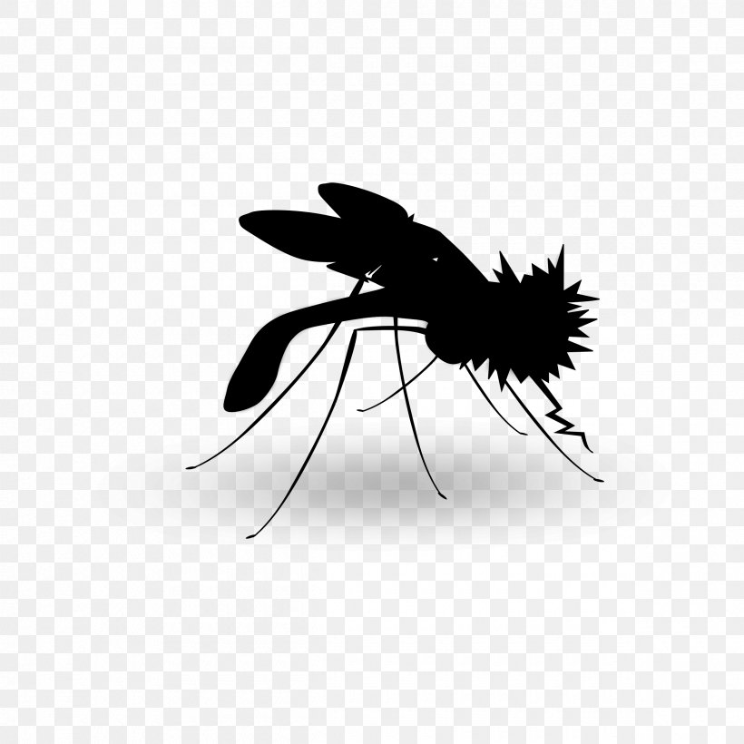 Mosquito Insect Black & White, PNG, 2400x2400px, Mosquito, Black White M, Fly, House Fly, Insect Download Free