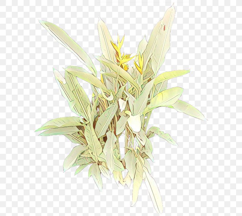 Plants, PNG, 600x730px, Plants, Feather, Flower, Flowering Plant, Grass Download Free