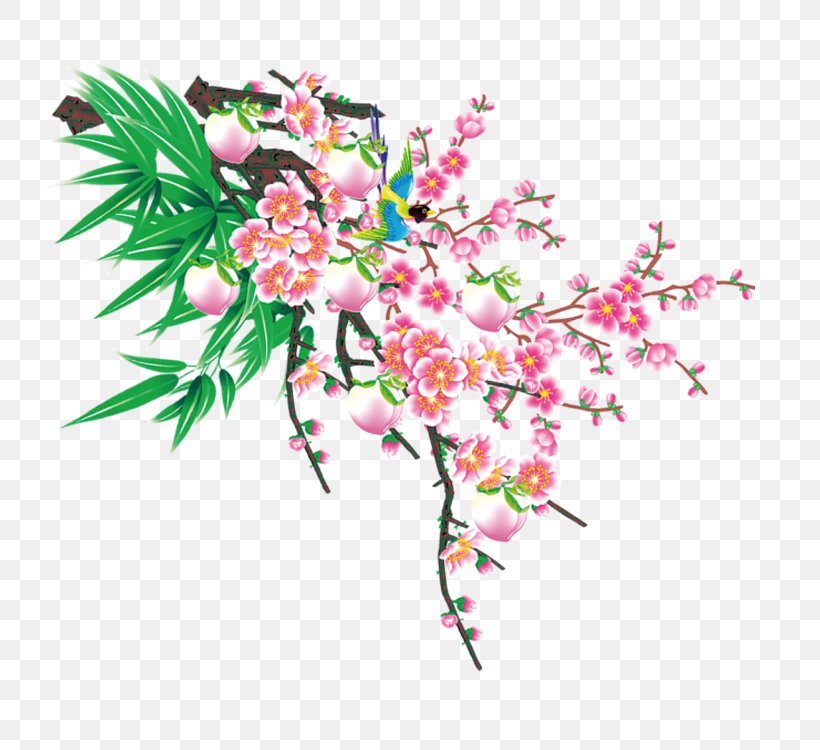 Plum Blossom Peach Google Images, PNG, 750x750px, Plum Blossom, Blossom, Branch, Cherry Blossom, Color Download Free