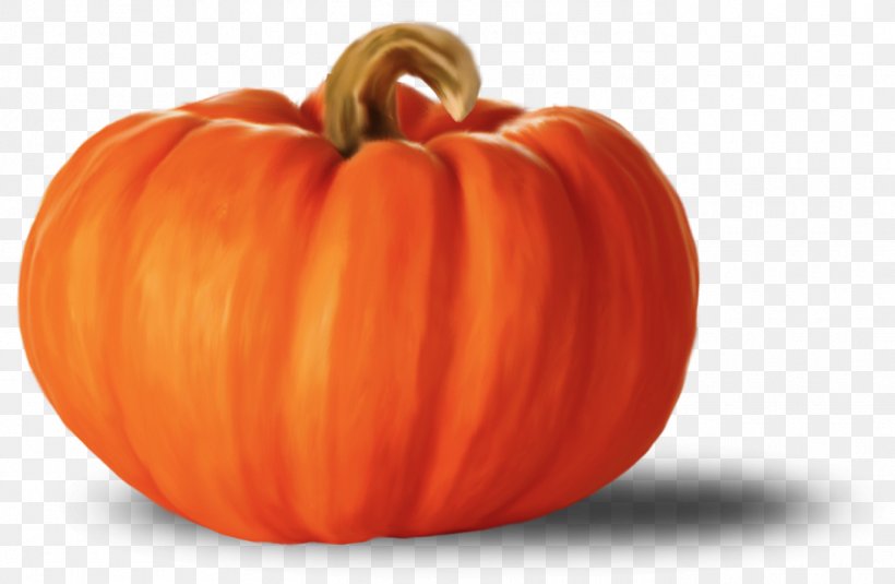 Pumpkin, PNG, 1370x895px, Kabocha, Calabaza, Cucurbita, Cucurbita Maxima, Fruit Download Free