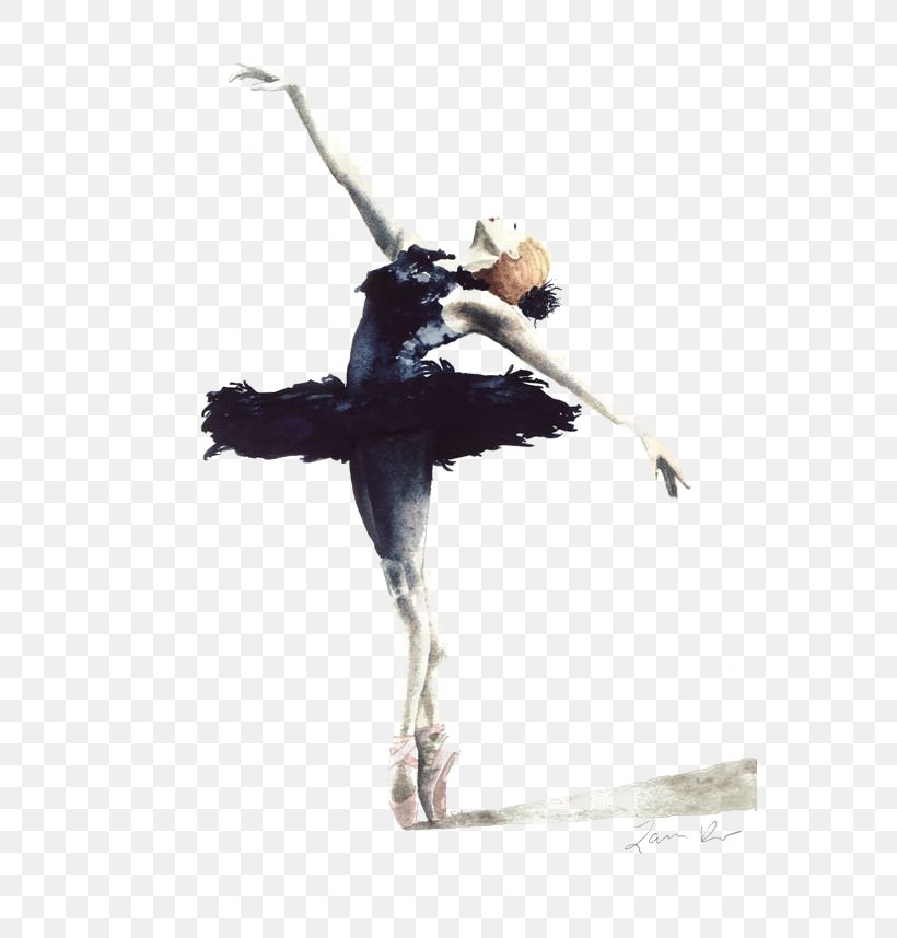 Ballet Dancer Swan Lake Cygnini Drawing, PNG, 564x858px, Watercolor, Cartoon, Flower, Frame, Heart Download Free