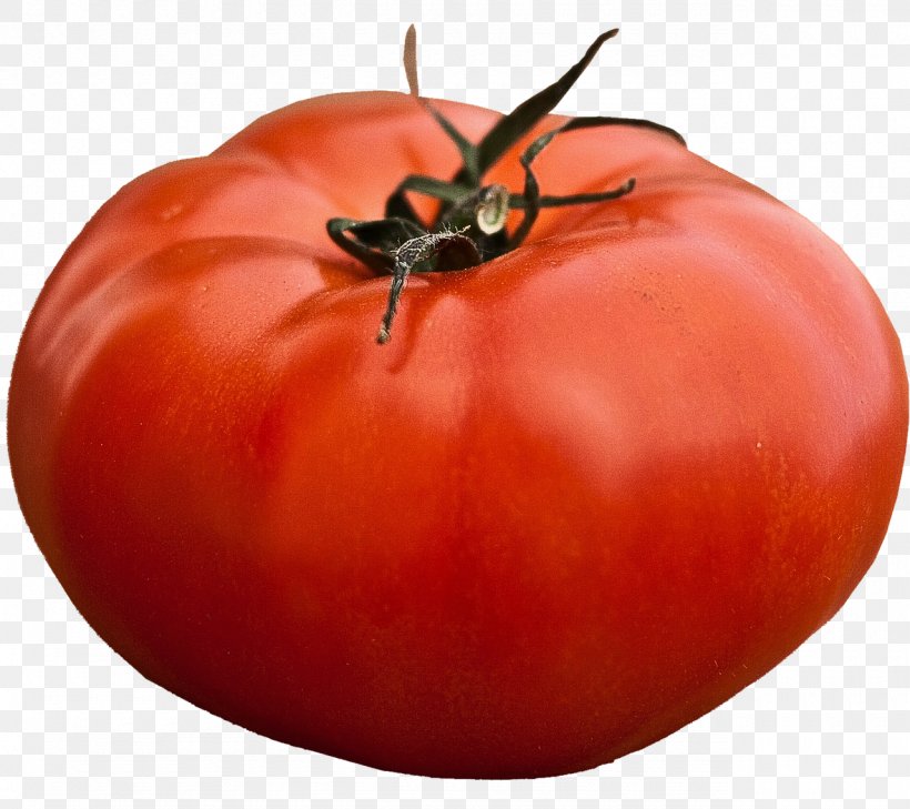 Beefsteak Tomato Seed Vegetable Heirloom Plant Heirloom Tomato, PNG, 1280x1139px, Beefsteak Tomato, Avocado, Banana, Bush Tomato, Cherry Tomato Download Free
