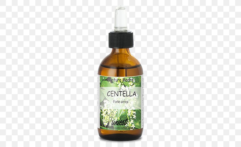 Fennel Flower Sativum Dietary Supplement Plant, PNG, 500x500px, Fennel Flower, Dietary Supplement, Liquid, Loveinamist, Milliliter Download Free