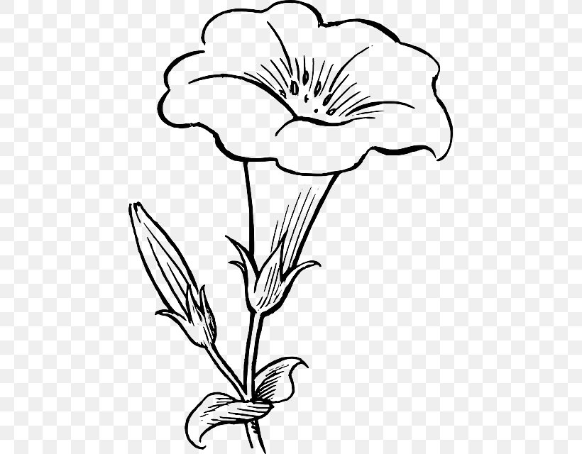 Flower Black And White Drawing Clip Art, PNG, 457x640px, Flower, Art, Artwork, Black And White, Color Download Free