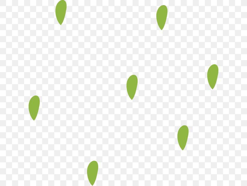 Leaf Desktop Wallpaper Computer Pattern, PNG, 630x619px, Leaf, Branch, Computer, Flora, Grass Download Free