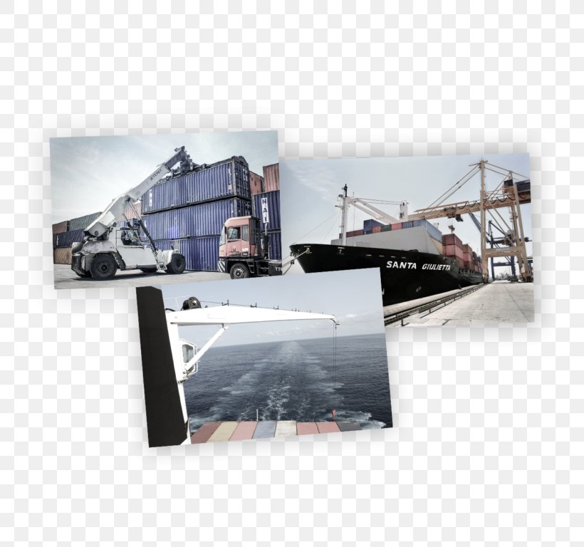 Seamanship Angola Navigation Dengiz Transporti Shipping Agency, PNG, 768x768px, Seamanship, Angola, Customer, Dengiz Transporti, Export Download Free