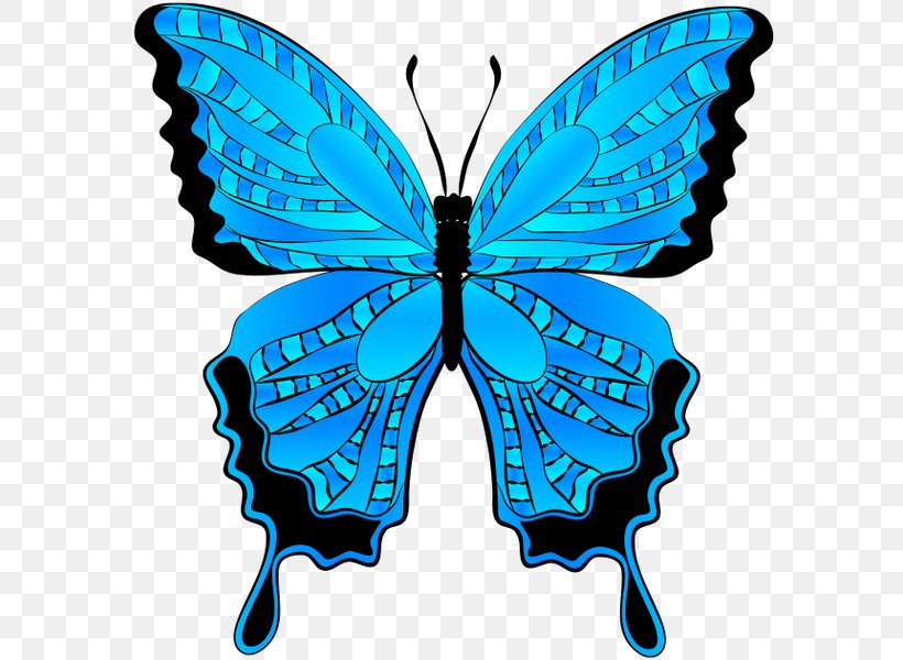 Butterfly Menelaus Blue Morpho Clip Art, PNG, 590x600px, Butterfly, Blue, Brush Footed Butterfly, Insect, Invertebrate Download Free