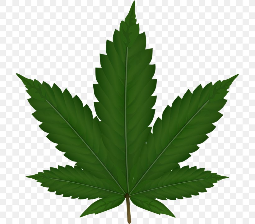 Cannabis Sativa Leaf Clip Art, PNG, 719x720px, 420 Day, Cannabis, Blunt, Cannabis Industry, Cannabis Smoking Download Free