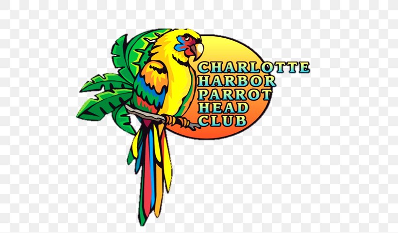 Clip Art Parrothead Graphic Design Illustration Logo, PNG, 558x481px, Parrothead, Beak, Charlotte Harbor, Jimmy Buffett, Logo Download Free