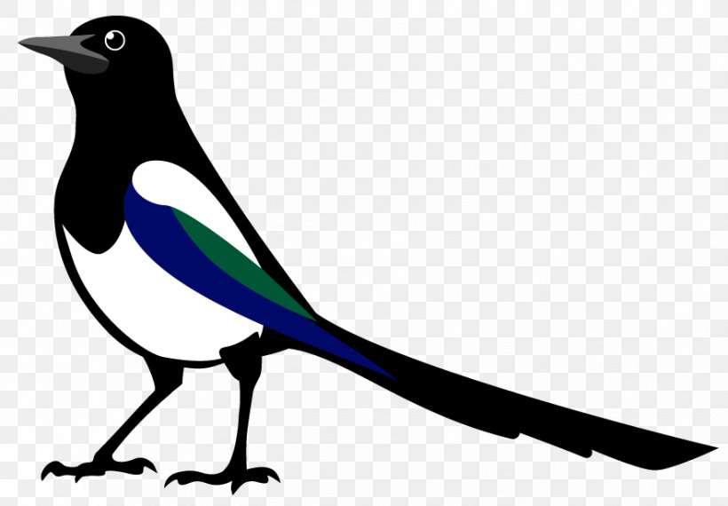 Eurasian Magpie Pig THT/Paradiso Noord Earth Song Exploder, PNG, 882x614px, Eurasian Magpie, Beak, Bird, Black And White, Branch Download Free