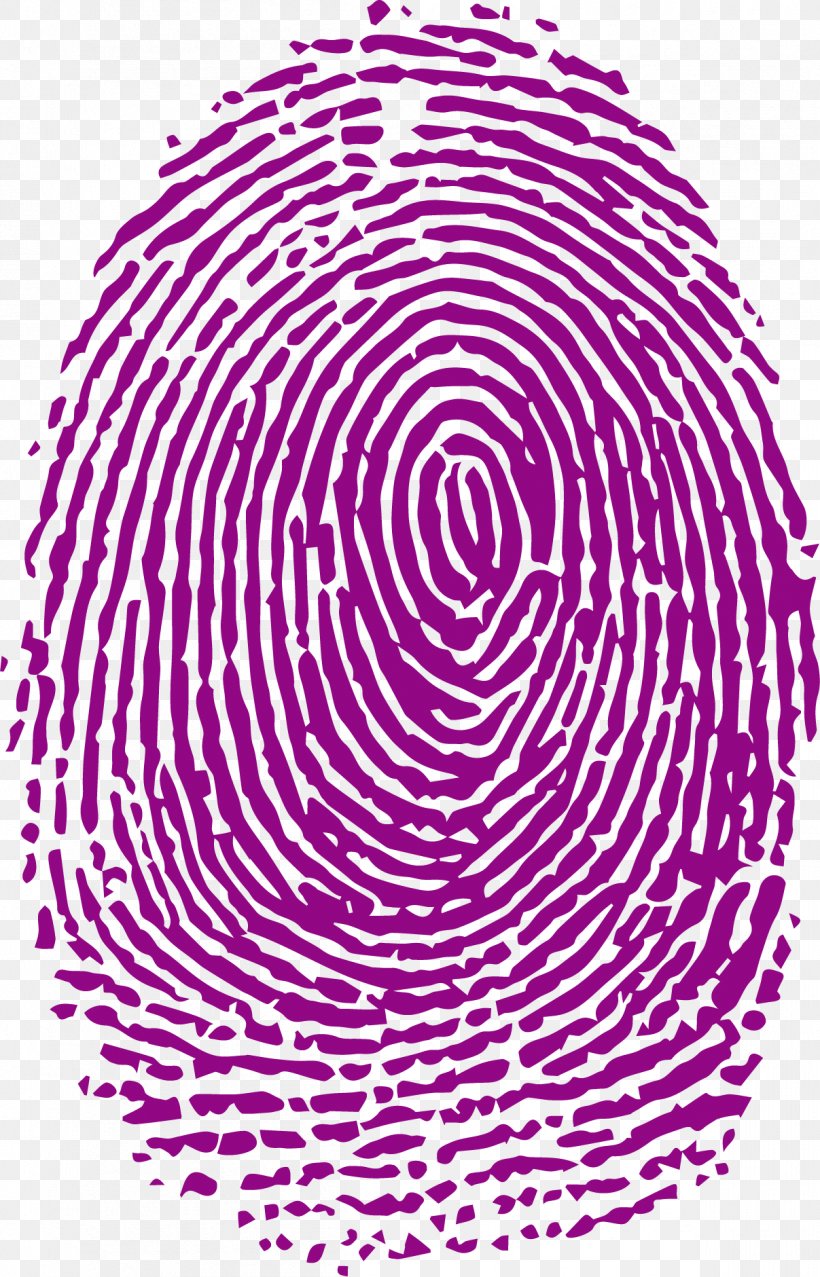 Fingerprint Forensic Science Analysis, PNG, 1207x1881px, Fingerprint, Analysis, Area, Crime, Crime Scene Download Free