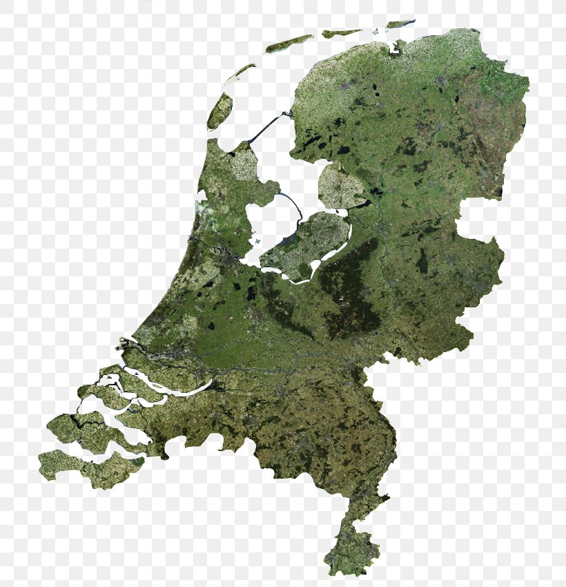 Flag Of The Netherlands World Map, PNG, 742x850px, Netherlands, Depositphotos, Drawing, Flag Of The Netherlands, Grass Download Free