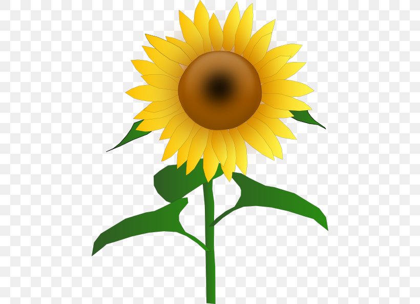Free Content Download Clip Art, PNG, 462x593px, Free Content, Common Sunflower, Daisy Family, Flower, Flowering Plant Download Free