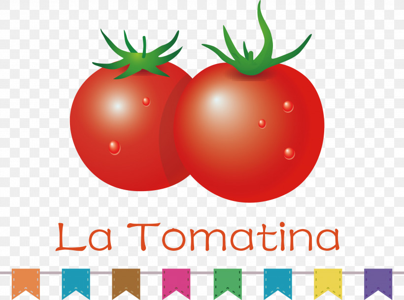 La Tomatina Tomato Throwing Festival, PNG, 2999x2229px, La Tomatina, Bush Tomato, Datterino Tomato, Local Food, Meter Download Free