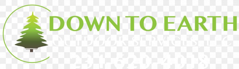 Turtles All The Way Down Lawn Snow Removal Brand Leaf, PNG, 1960x570px, Turtles All The Way Down, Book, Brand, Grass, Grass Family Download Free