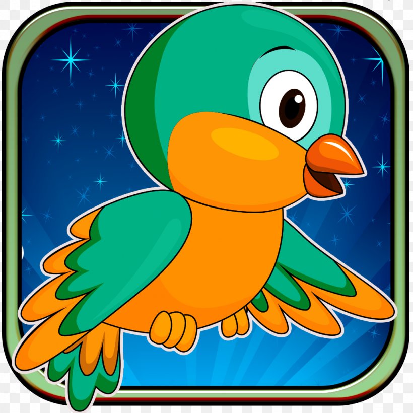 Water Bird Parrot Vertebrate Beak, PNG, 1024x1024px, Bird, Anatidae, Animal, Beak, Cartoon Download Free