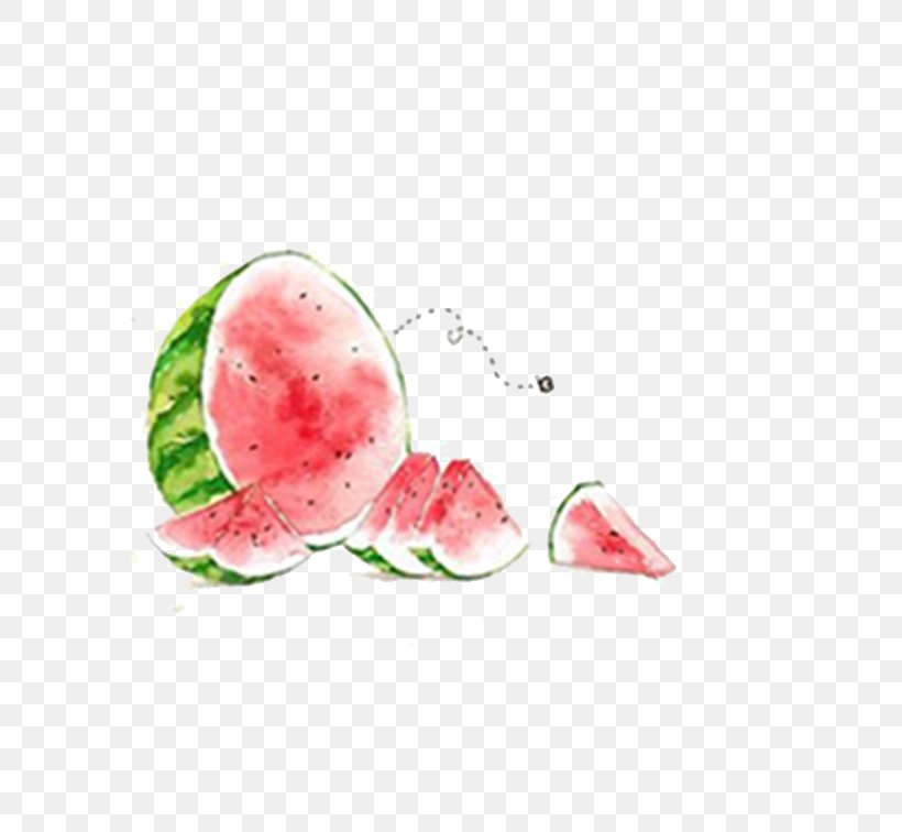 Watermelon Watercolor Painting Summer Illustration, PNG, 756x756px, Watermelon, Art, Auglis, Citrullus, Cucumber Gourd And Melon Family Download Free