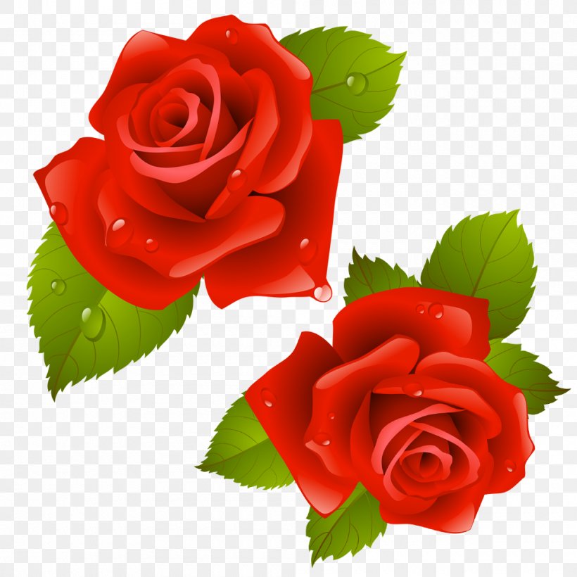 Beach Rose Flower Image Design, PNG, 1000x1000px, Beach Rose, Cartoon, China Rose, Cut Flowers, Floral Design Download Free