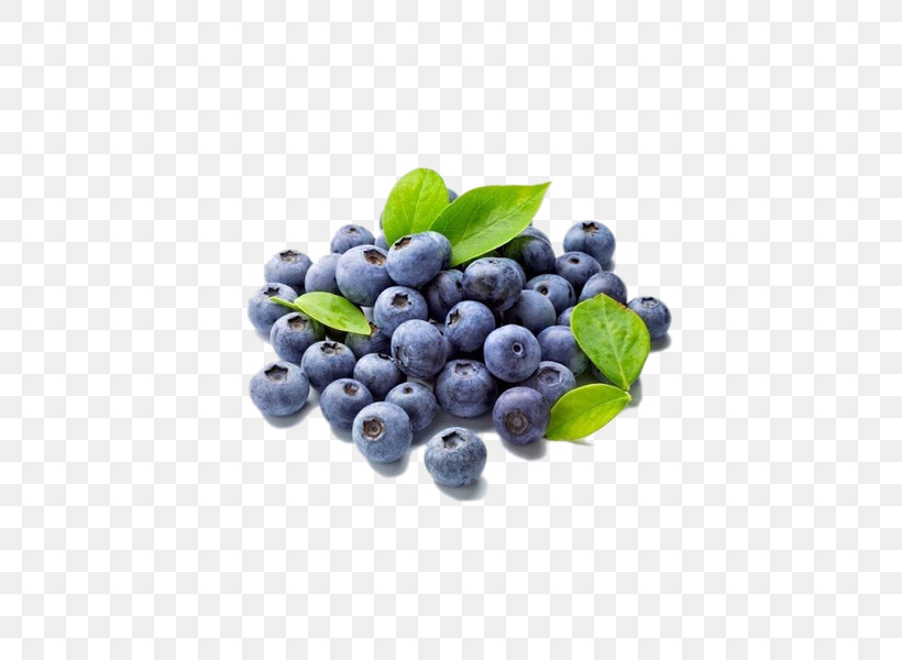 Berry Bilberry Fruit Food Blueberry, PNG, 600x600px, Berry, Bilberry, Blue, Blueberry, Chokeberry Download Free