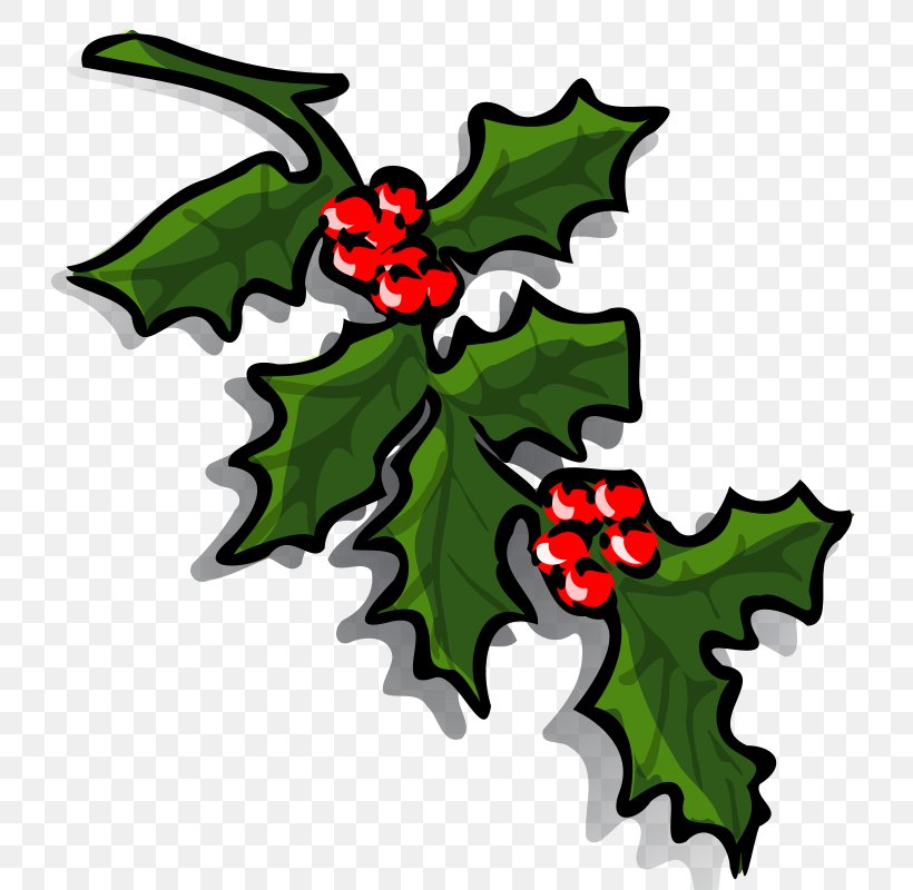 Common Holly Borders And Frames Christmas Clip Art, PNG, 769x800px, Common Holly, Aquifoliaceae, Aquifoliales, Artwork, Borders And Frames Download Free