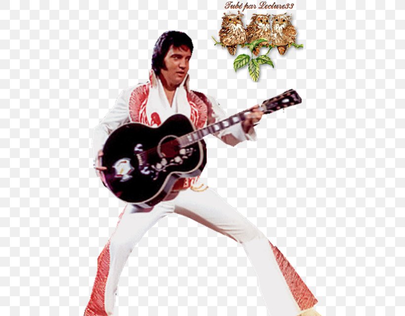 Slide Guitar Elvis, The Pelvis ! Sitar, PNG, 542x640px, Watercolor, Cartoon, Flower, Frame, Heart Download Free