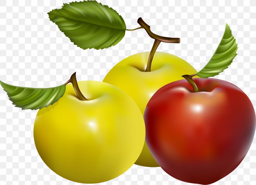 Apple Fruit Food Vegetable, PNG, 1500x1085px, Apple, Cherry, Diet Food, Food, Fruit Download Free