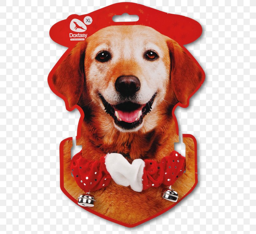 Golden Retriever Labrador Retriever Puppy Christmas Basset Hound, PNG, 529x750px, Golden Retriever, Basset Hound, Carnivoran, Christmas, Christmas Card Download Free
