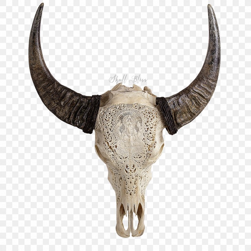 Human Skull Symbolism Horn American Bison Cattle, PNG, 1000x1000px, Skull, American Bison, Animal, Bison, Bone Download Free