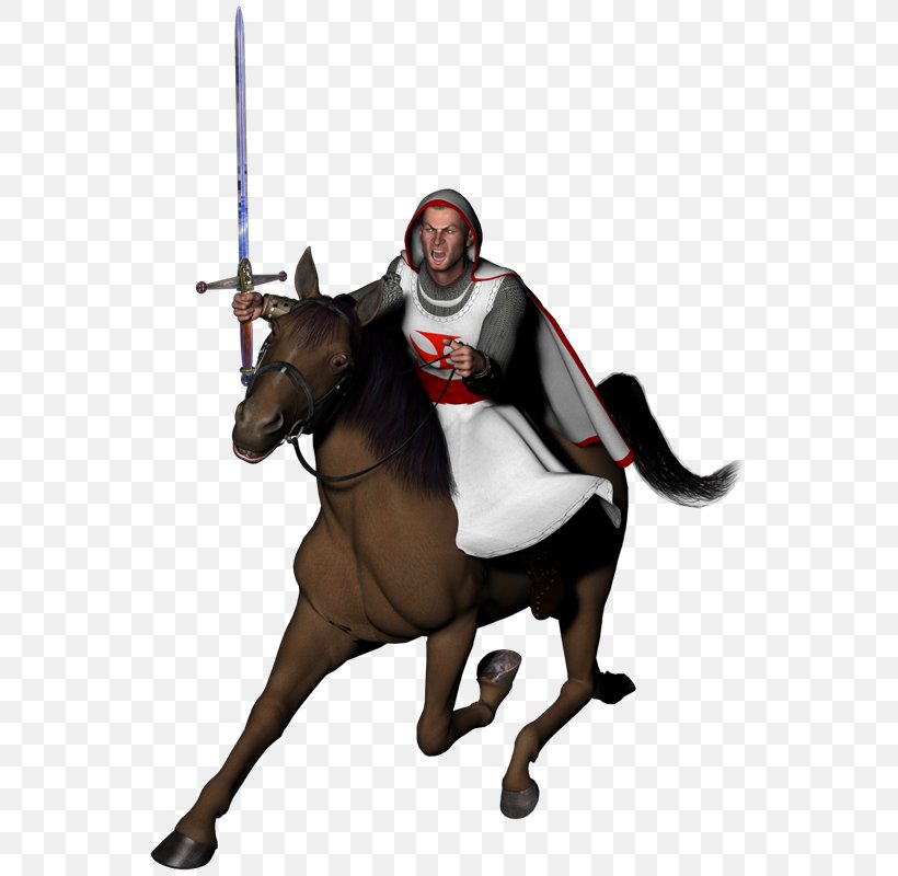 Knights Templar Horse Crusades, PNG, 557x800px, Knight, Charge, Crusades, Horse, Horse Like Mammal Download Free