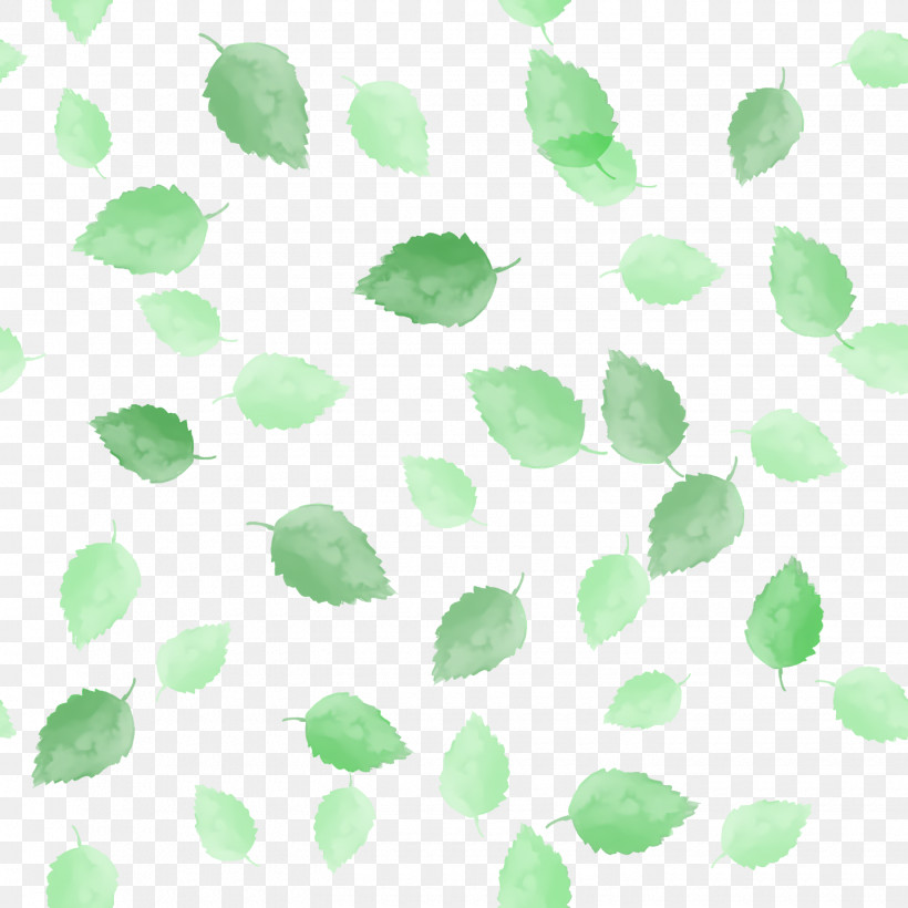 Leaf Green Pattern Line Meter, PNG, 1440x1440px, Leaf, Biology, Green, Line, Meter Download Free