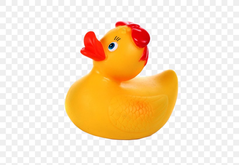 Rubber Duck Bathroom Tile Toy, PNG, 567x567px, Rubber Duck, Badleksak, Bathroom, Bathtub, Beak Download Free