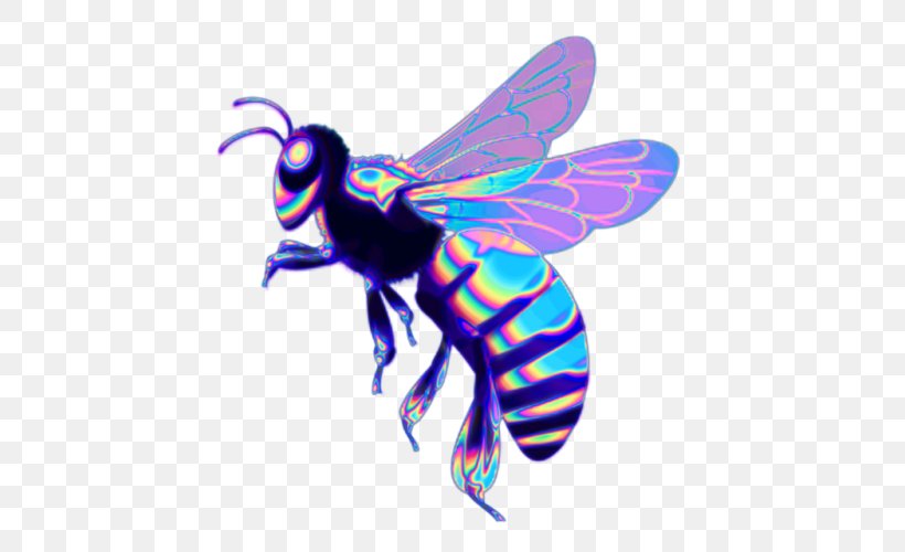 Western Honey Bee Insect Beehive, PNG, 500x500px, Bee, Aesthetics, Arthropod, Beehive, Blog Download Free
