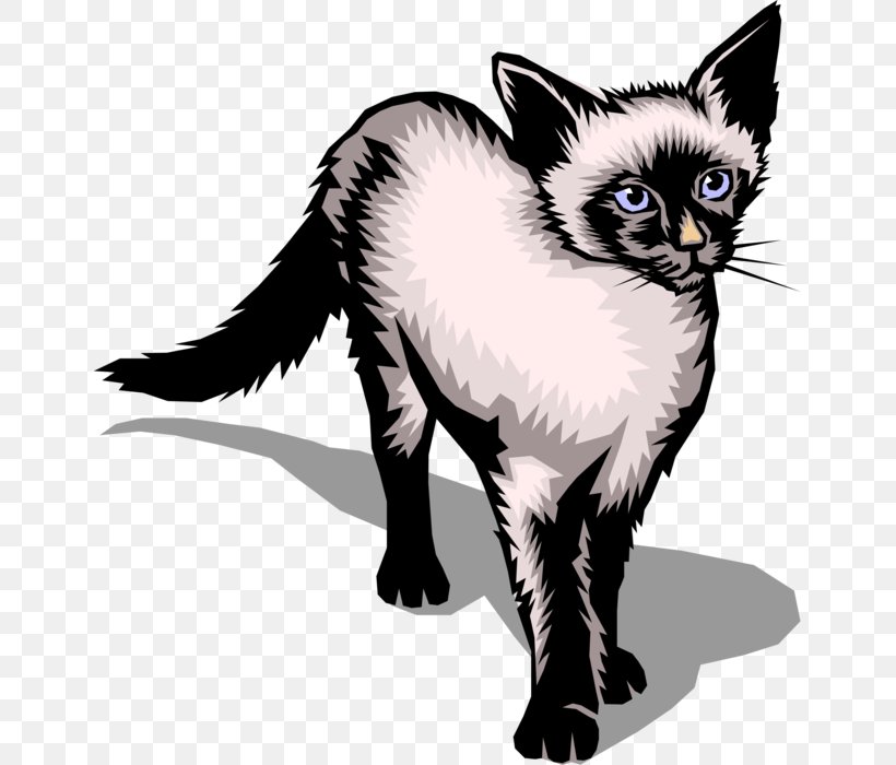 Siamese Cat Clip Art Vector Graphics Image Illustration, PNG, 647x700px, Siamese Cat, Black And White, Black Cat, Carnivoran, Cat Download Free