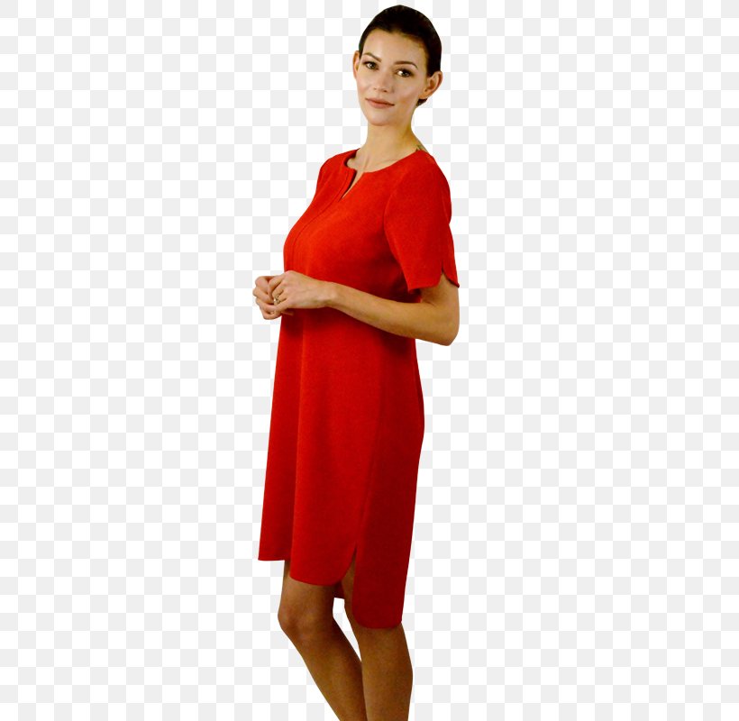 T-shirt Shirtdress Clothing Sleeve, PNG, 800x800px, Tshirt, Clothing, Cocktail Dress, Costume, Day Dress Download Free