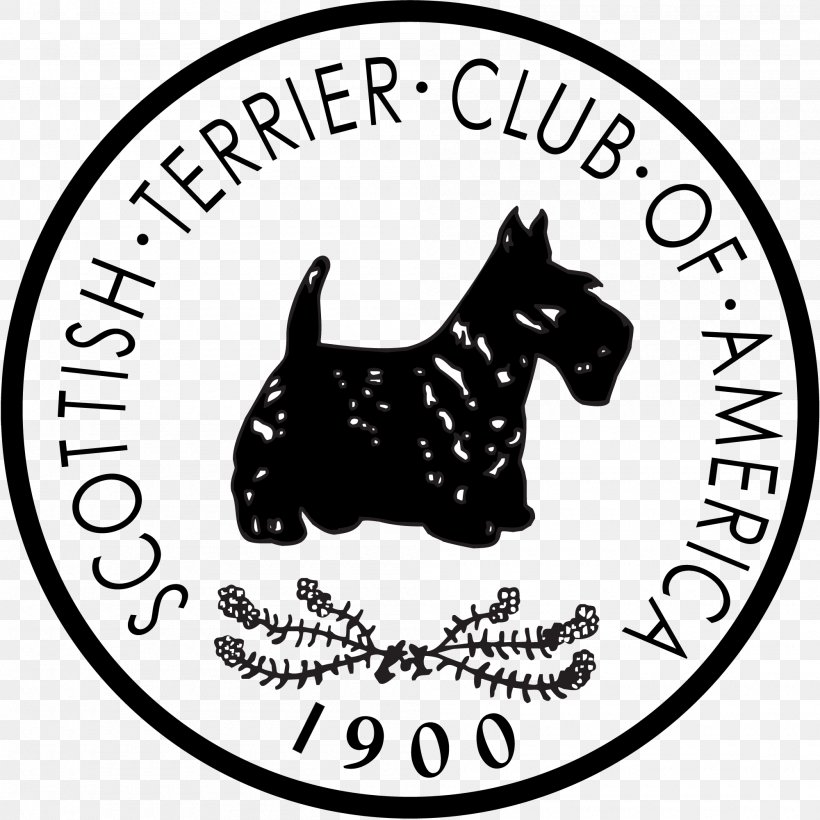 Dog Breed Scottish Terrier Smooth Fox Terrier Wire Hair Fox Terrier Boston Terrier, PNG, 2000x2000px, Dog Breed, American Kennel Club, Area, Black, Black And White Download Free