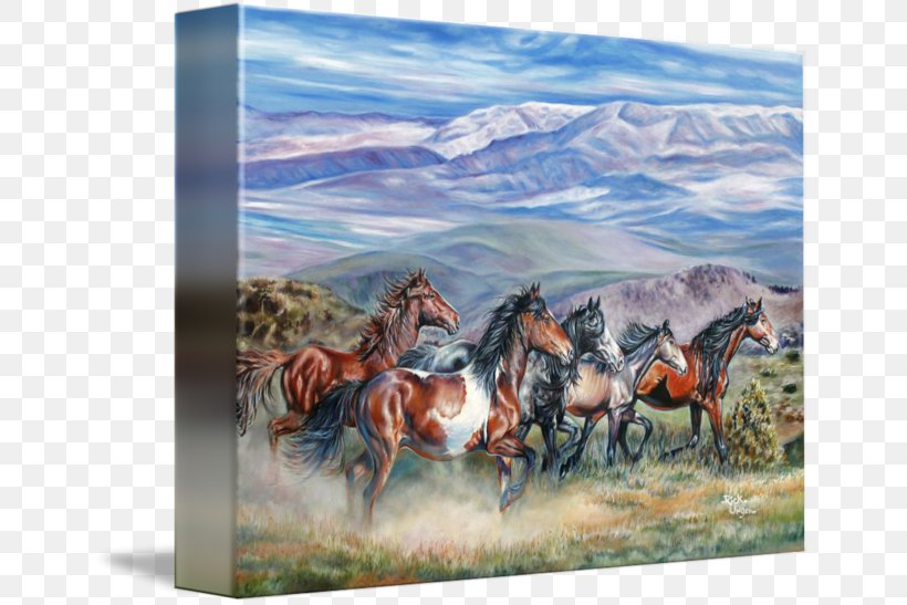 Mustang Stallion Steppe Ranch Painting, PNG, 650x547px, Mustang, Ecoregion, Ecosystem, Grassland, Horse Download Free