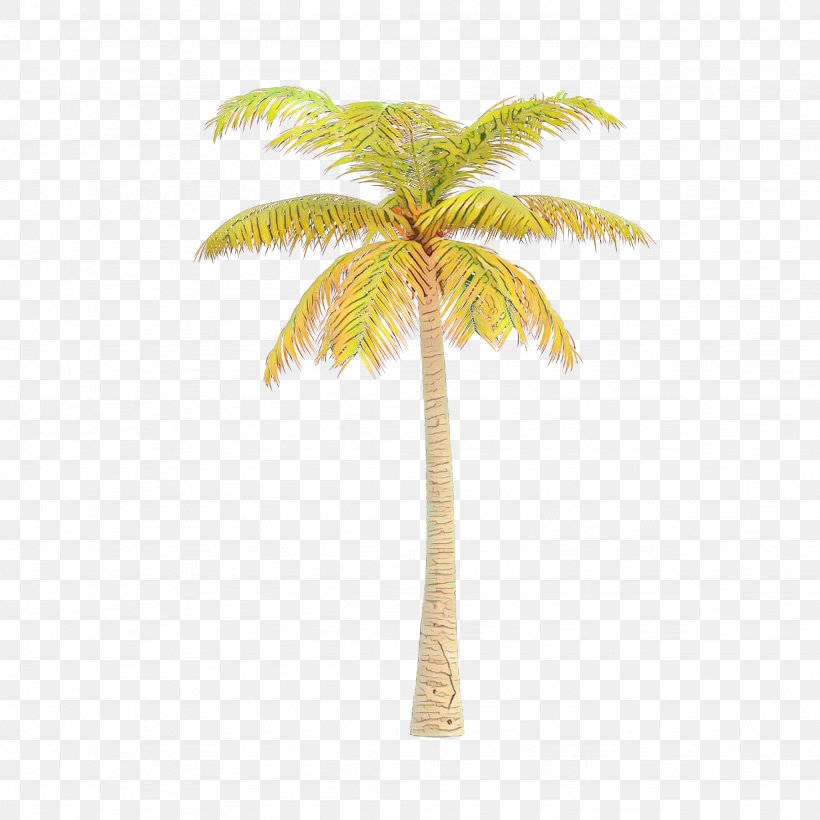 Palm Tree, PNG, 2048x2048px, Cartoon, Arecales, Coconut, Desert Palm, Leaf Download Free