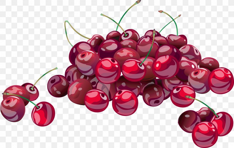 Sour Cherry Cherries Jubilee Fruit Strawberry, PNG, 1600x1016px, Cherry, Berry, Cherries Jubilee, Cranberry, Dried Fruit Download Free