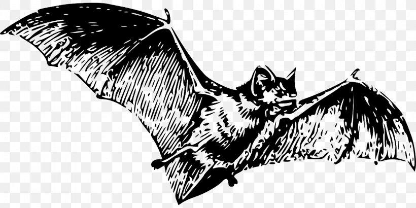 Vampire Bat Illustration, PNG, 1280x640px, Bat, Beak, Bird, Bird Of Prey, Black And White Download Free
