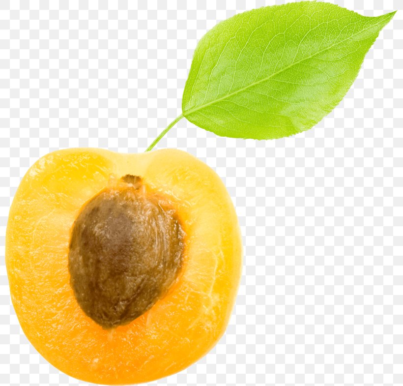 Apricot Kernel Vegetable Oil Vegetarian Cuisine Food, PNG, 800x785px, Apricot, Apricot Kernel, Employment, Food, Fruit Download Free