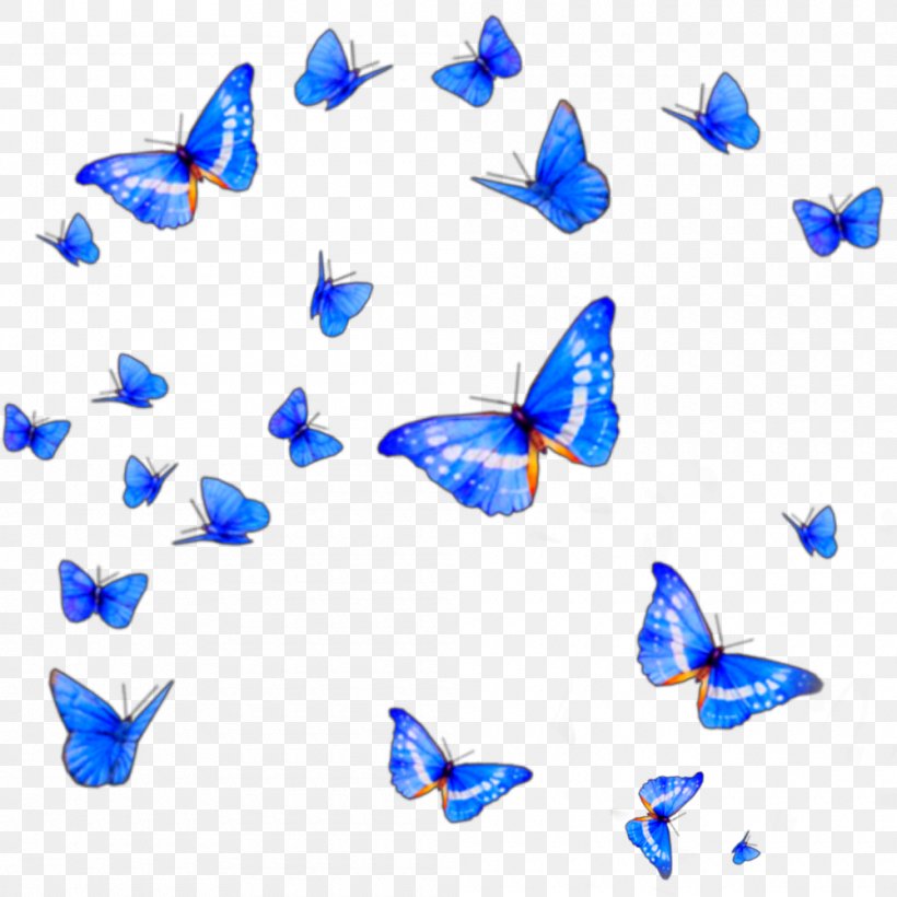 Butterfly Clip Art, PNG, 1000x1000px, Butterfly, Blue, Butterflies And Moths, Butterfly Effect, Digital Scrapbooking Download Free