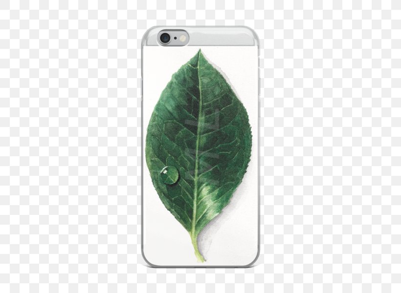 Green Leaf, PNG, 600x600px, Green, Leaf, Plant Download Free