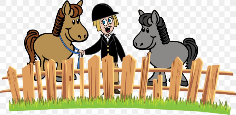 Horse Equestrian Pony Clip Art, PNG, 861x423px, Horse, Bridle, English Riding, Equestrian, Equestrian Centre Download Free