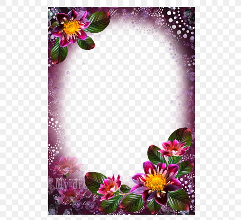 Picture Frames Photography Colorful Flowers, PNG, 750x750px, Picture Frames, Blog, Colorful Flowers, Dahlia, Film Frame Download Free