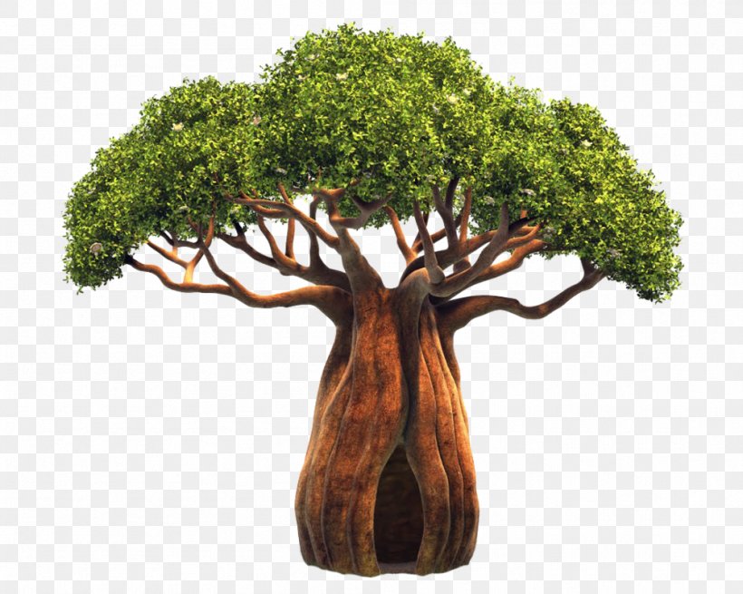 Adansonia Digitata Tree Sorbus Domestica Bark Clip Art, PNG, 999x799px, Adansonia Digitata, Baobab, Baobab Digital Printing, Bark, Branch Download Free