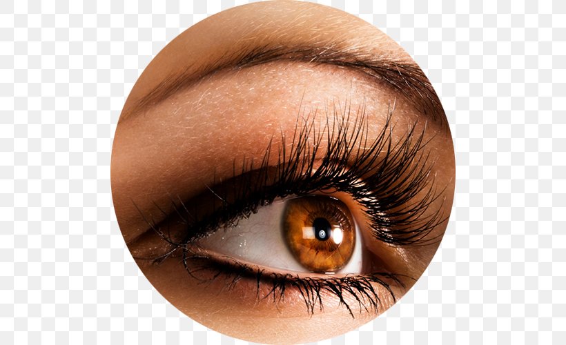 Eyelash Extensions Artificial Hair Integrations Beauty Parlour Cosmetics, PNG, 500x500px, Eyelash Extensions, Artificial Hair Integrations, Beauty Parlour, Close Up, Cosmetics Download Free