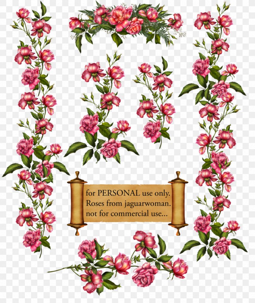 Rose Vine Drawing Clip Art, PNG, 900x1071px, Rose, Art, Blossom, Branch, Cut Flowers Download Free
